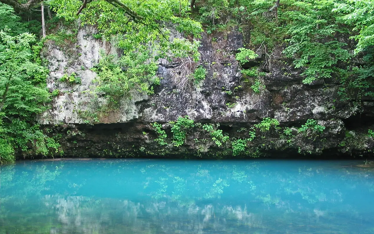 Afloramiento de agua subterránea junto a una formación rocosa y vegetación